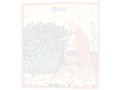 Festa delle Erbe